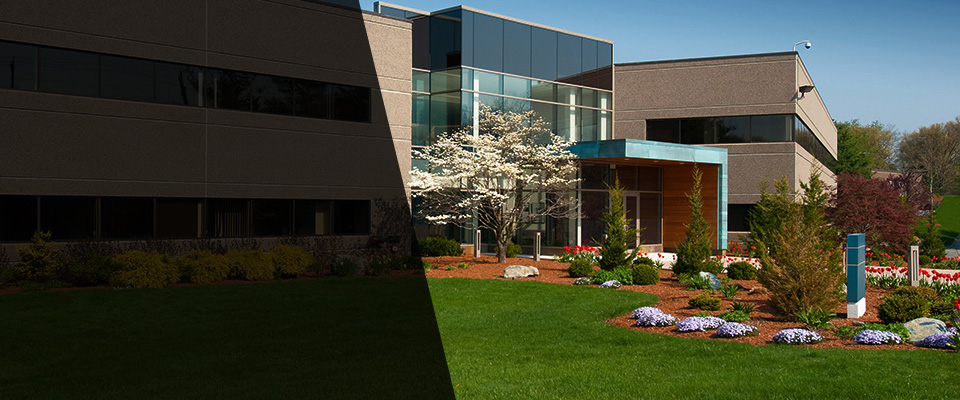 Massapequa Landscapers