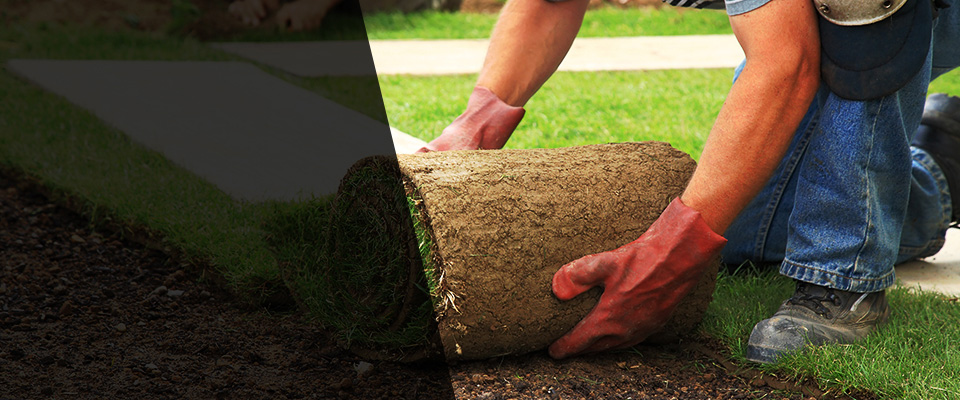 Massapequa Landscapers